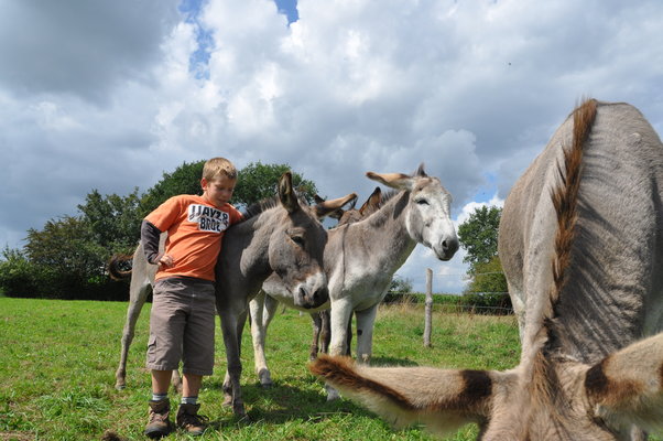 Ontspanning De hennepwandeling
